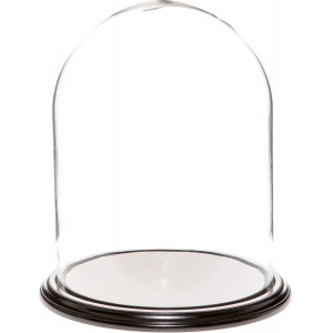 Plymor Brand 11.75" x 15" Glass Display Dome Cloche (Black Wood Veneer Base) 840003144314  202344648423